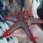 Best Things to Do in Zanzibar: Unforgettable Island Experiences