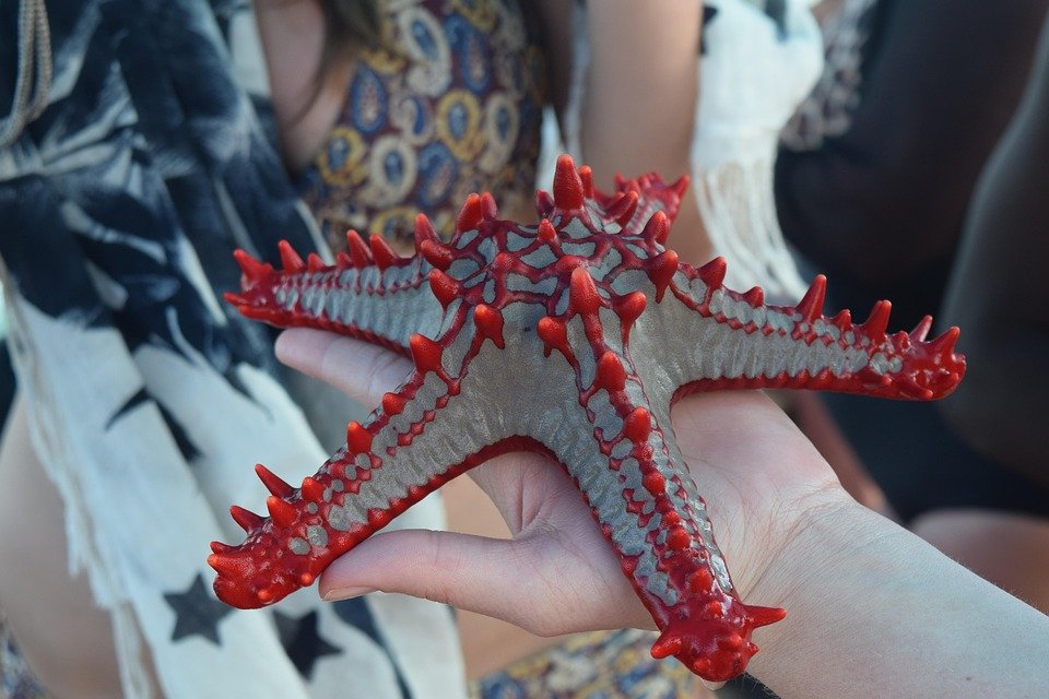 Best Things to Do in Zanzibar: Unforgettable Island Experiences